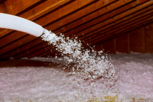 Best Energy Efficiency Insulation in Brunswick, NC